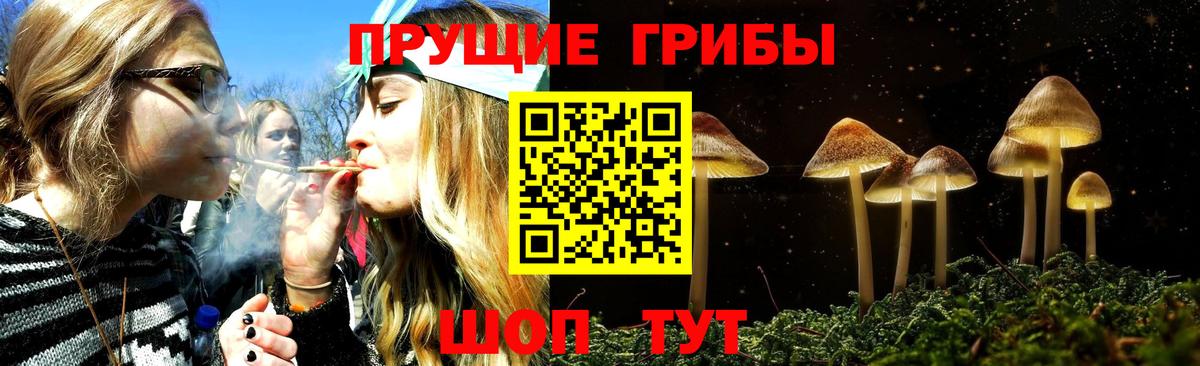 Псилоцибиновые грибы Cubensis  Вход с VPN  Сланцы 