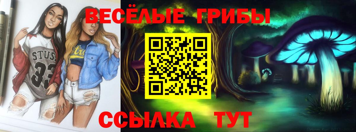 Псилоцибиновые грибы Cubensis Сланцы